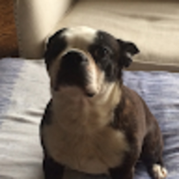 Meet your Posher, Elizabeth - Picture 1 of 1